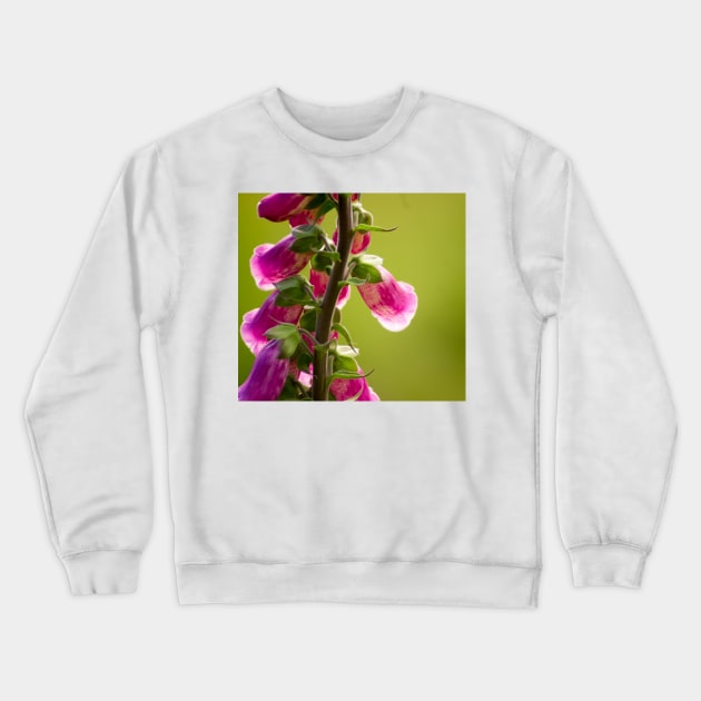 gli lupine Crewneck Sweatshirt by pcfyi